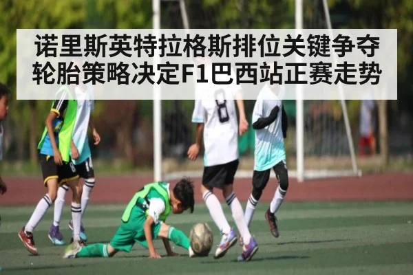 诺里斯英特拉格斯排位关键争夺 轮胎策略决定F1巴西站正赛走势 - 3377 SPORTS