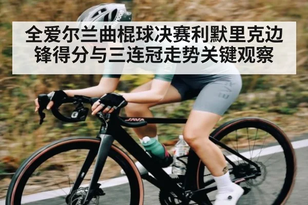 全爱尔兰曲棍球决赛利默里克边锋得分与三连冠走势关键观察 - 3377 SPORTS